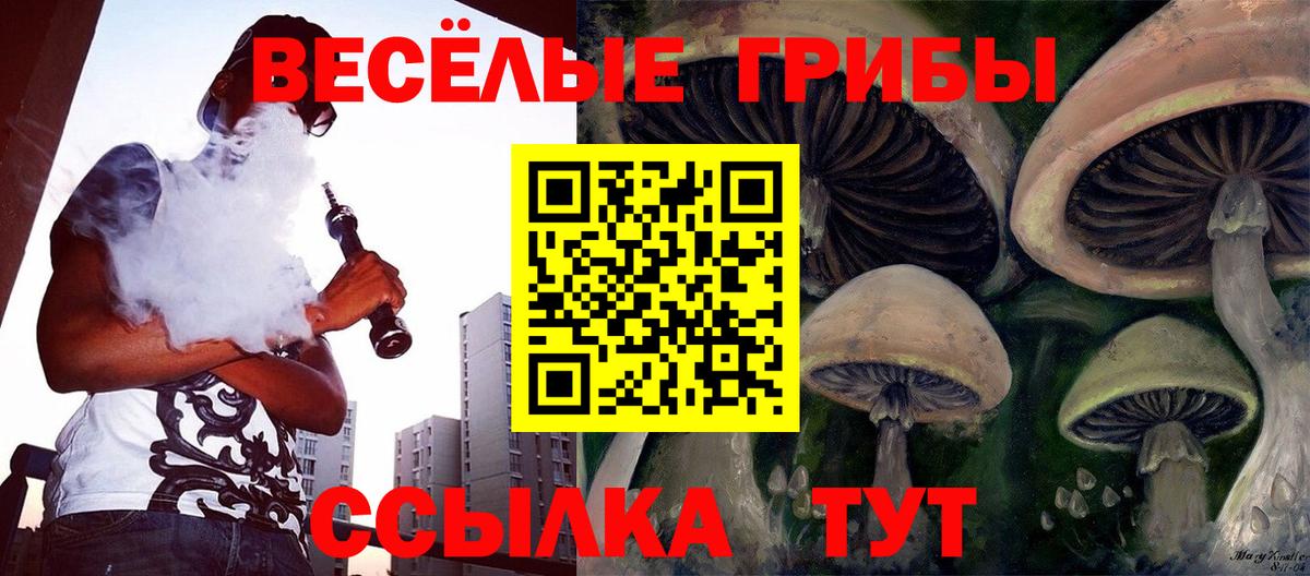 Псилоцибиновые грибы Psilocybe  Вход с VPN  Верхний Уфалей  Галлюциногенные грибы мицелий 